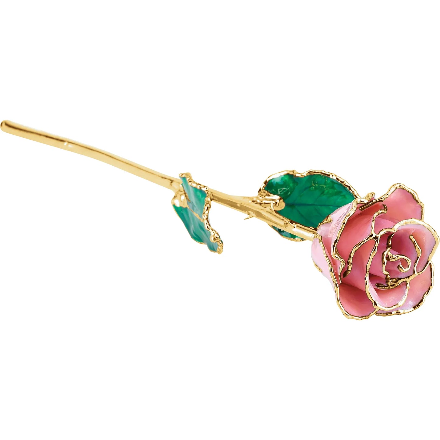 Pink Pearl 24K Rose