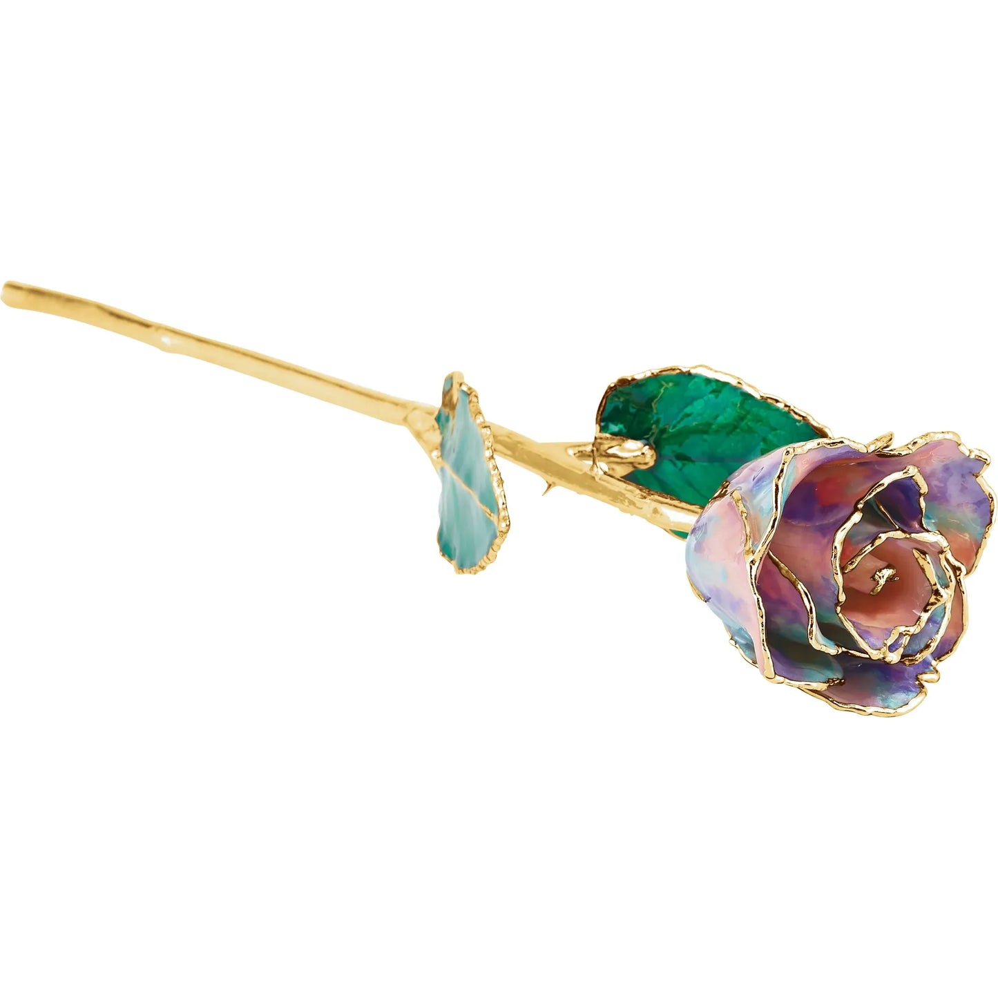 Rainbow 24K Rose