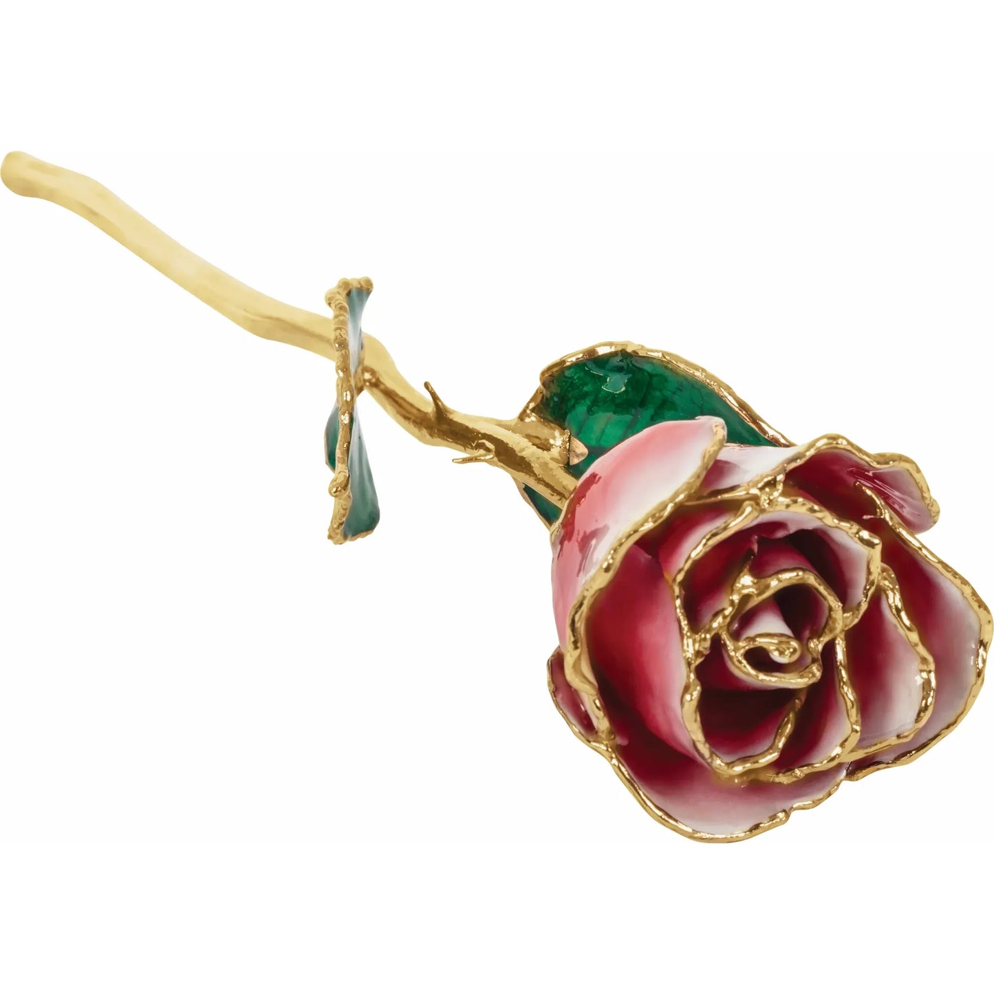 Frost Kissed 24K Rose