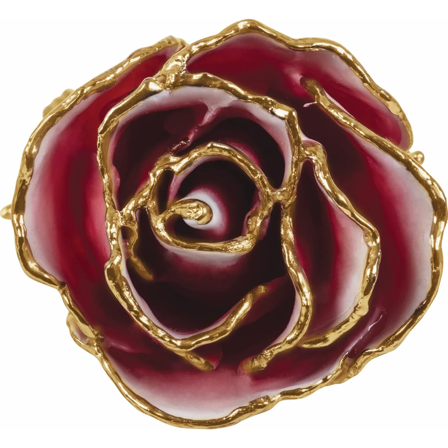 Frost Kissed 24K Rose