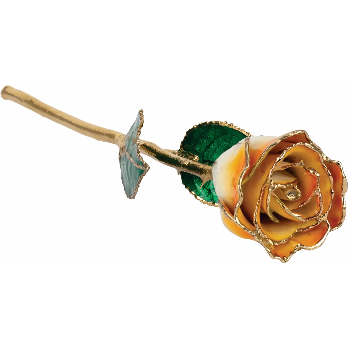 Citrus Ombre 24K Rose