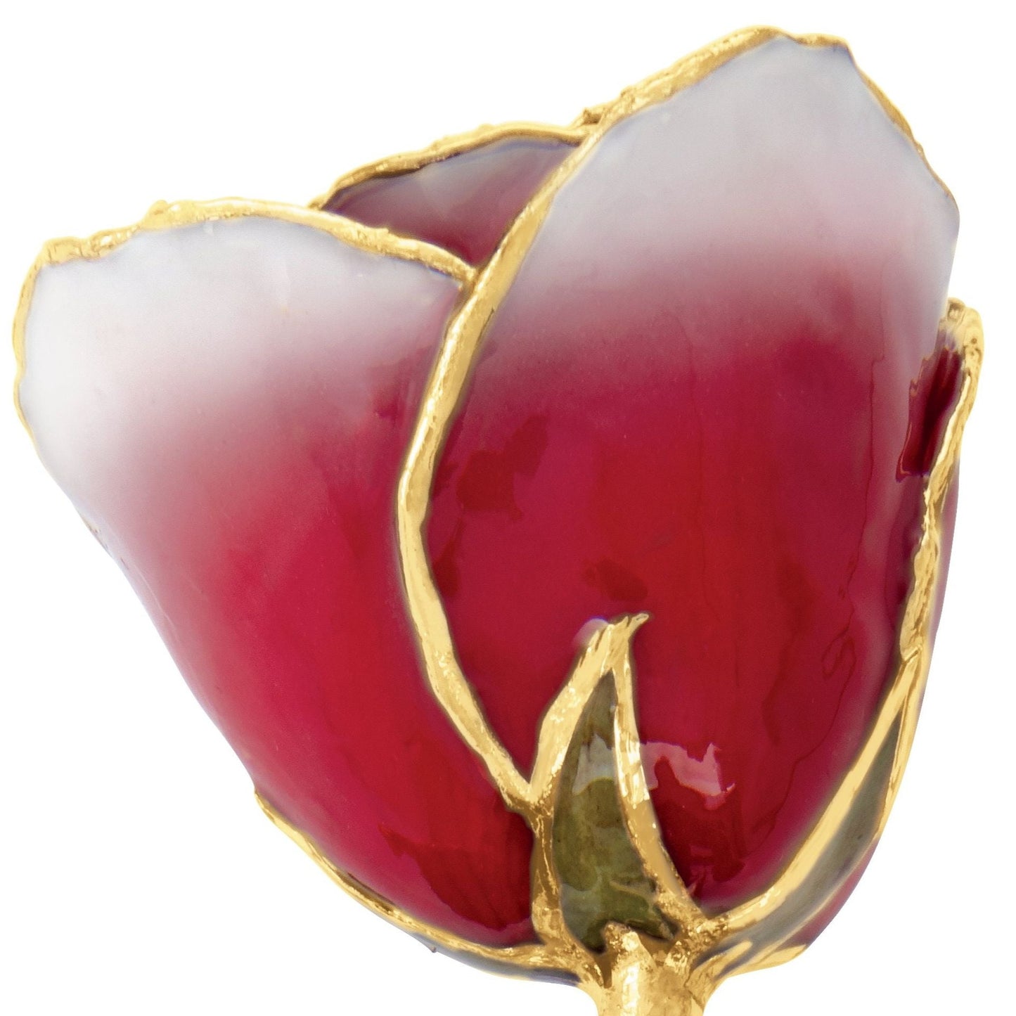 Preserved Frozen White & Red Rose with 24K Gold Trim for Luxury Home Decor