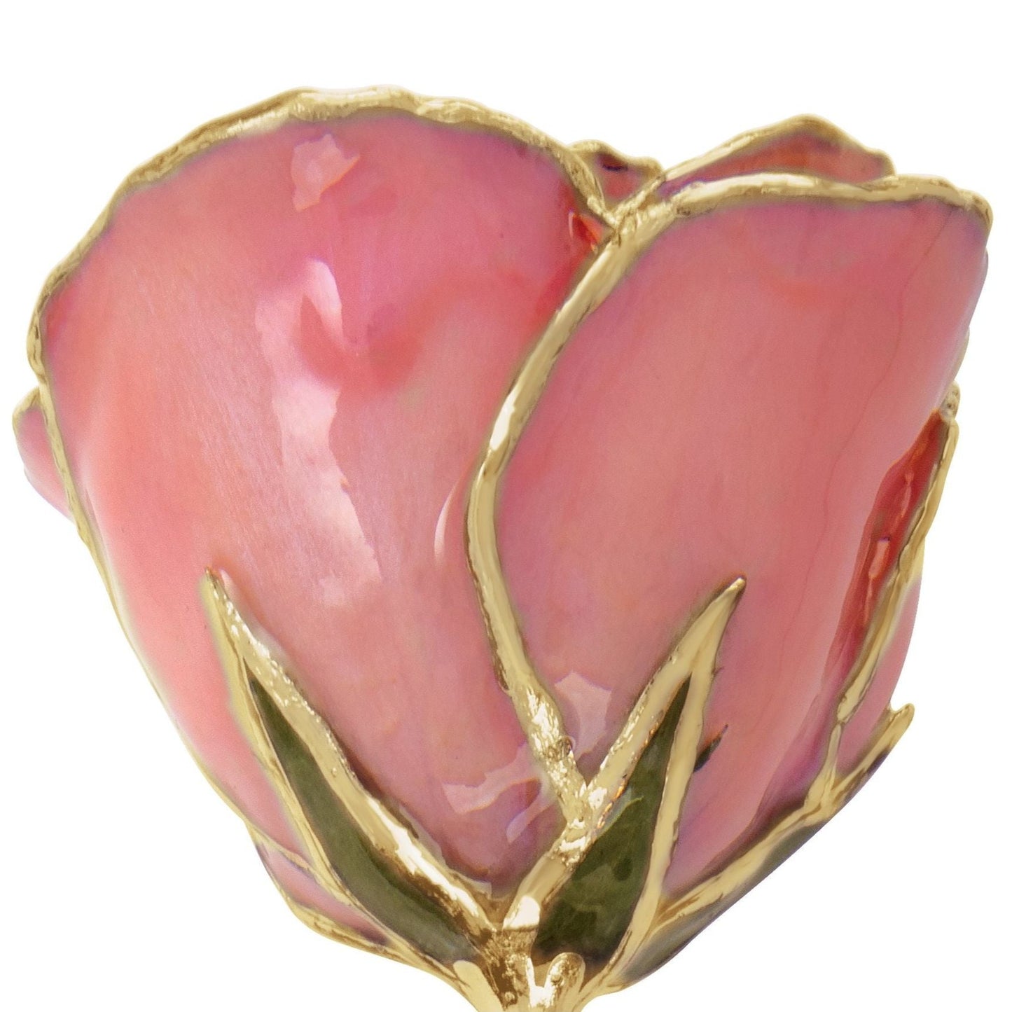 Preserved Pink Pearl Rose with 24K Gold Trim for Luxury Home Decor