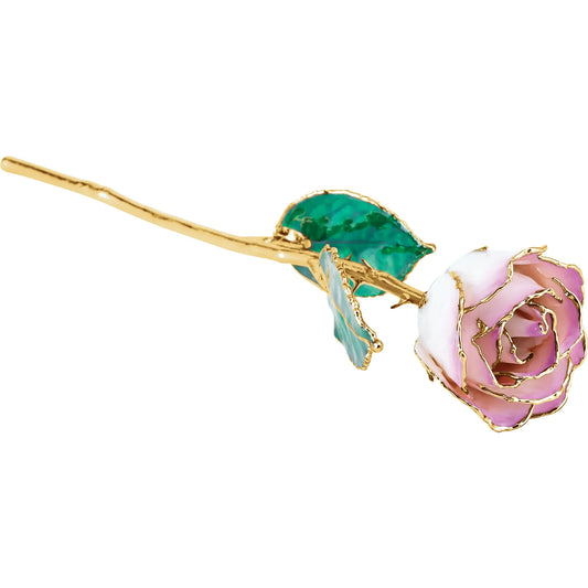 Picasso Ombre 24K Rose