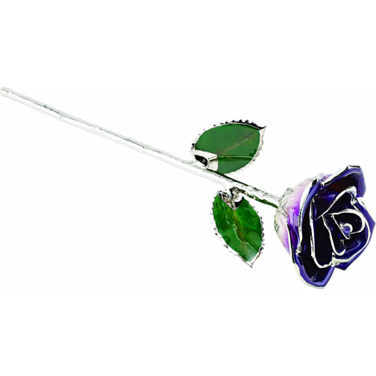 Purple Platinum Rose