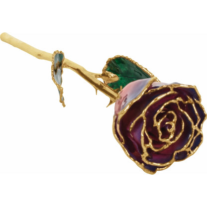 Purple/Pink 24K Rose