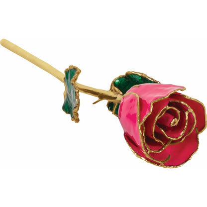 Magenta 24K Rose