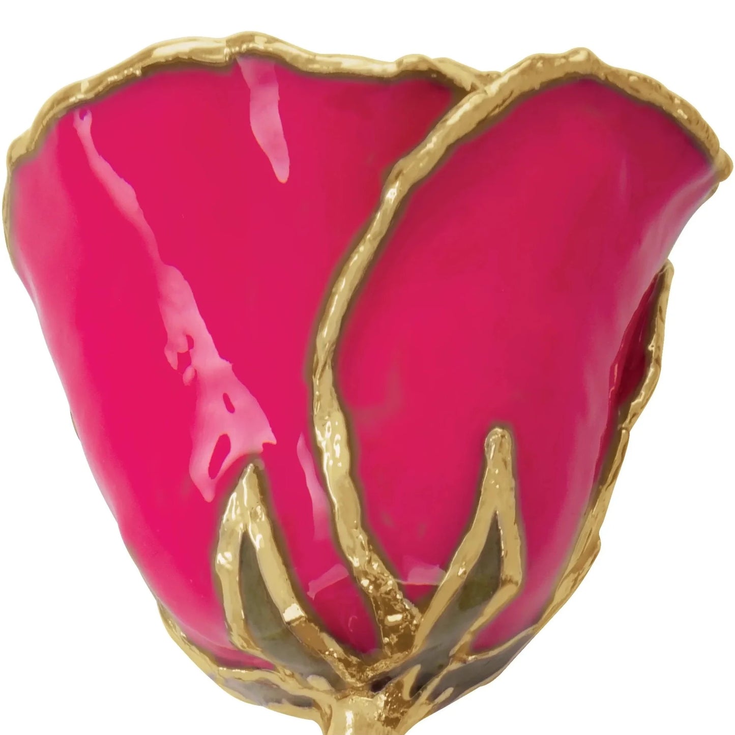 Magenta 24K Rose