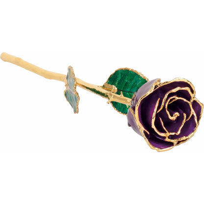 Purple 24K Rose