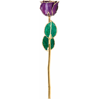 Purple 24K Rose