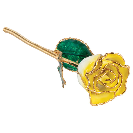 Yellow Ombre 24K Rose