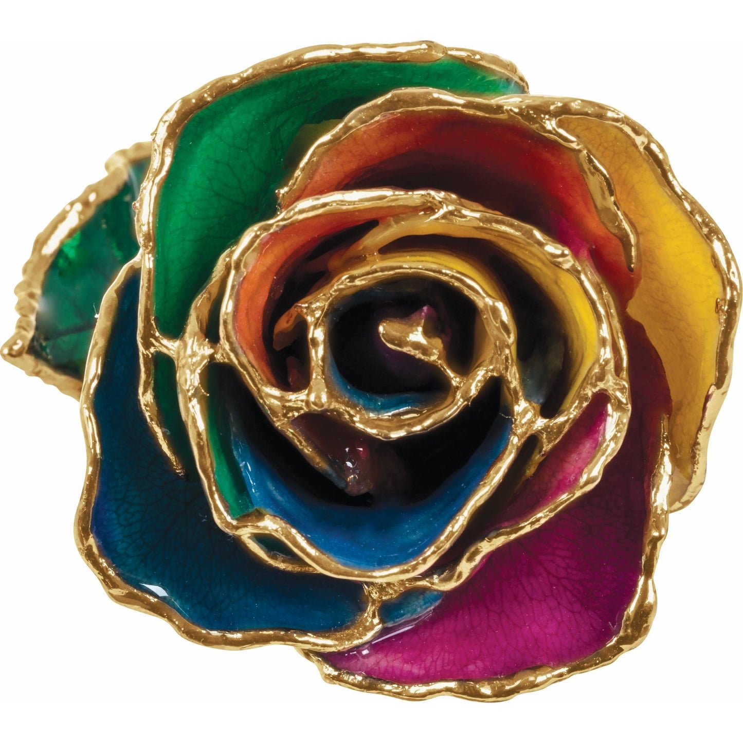 Preserved Rainbow Rose with 24K Gold Trim for Luxury Home Decor