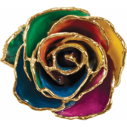 Preserved Rainbow Rose with 24K Gold Trim for Luxury Home Decor