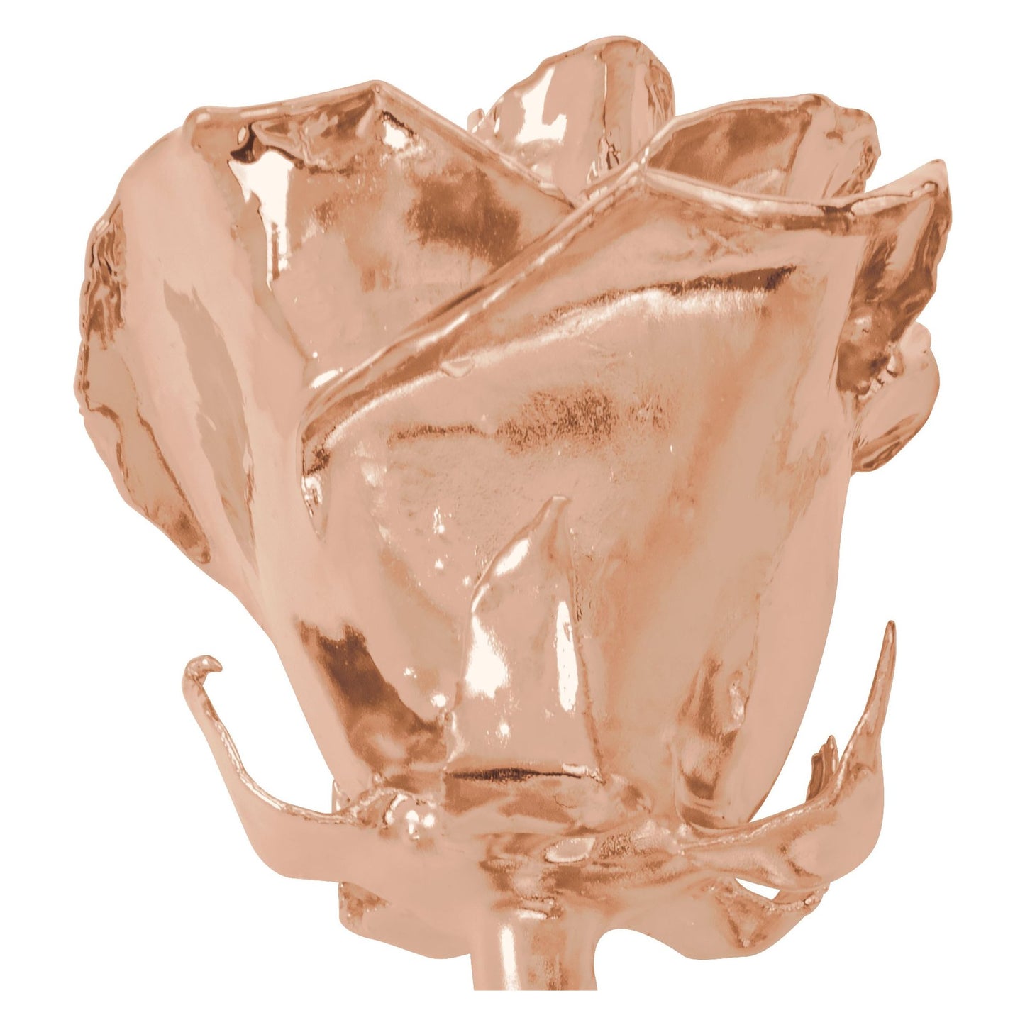 Rose Gold Plated Rose for Luxury Home Decor