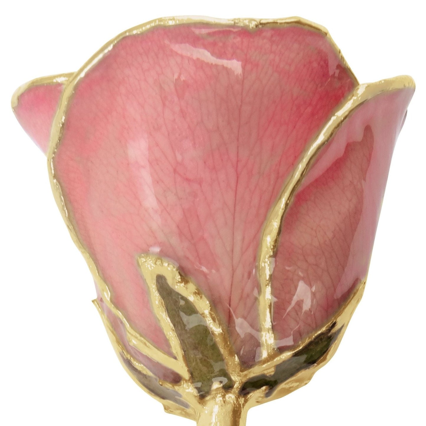 Preserved Pink Rose with 24K Gold Trim for Luxury Home Decor