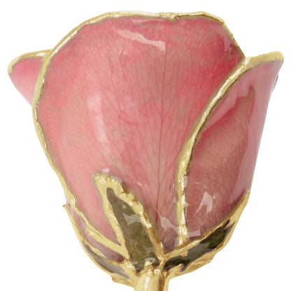 Preserved Pink Rose with 24K Gold Trim for Luxury Home Decor