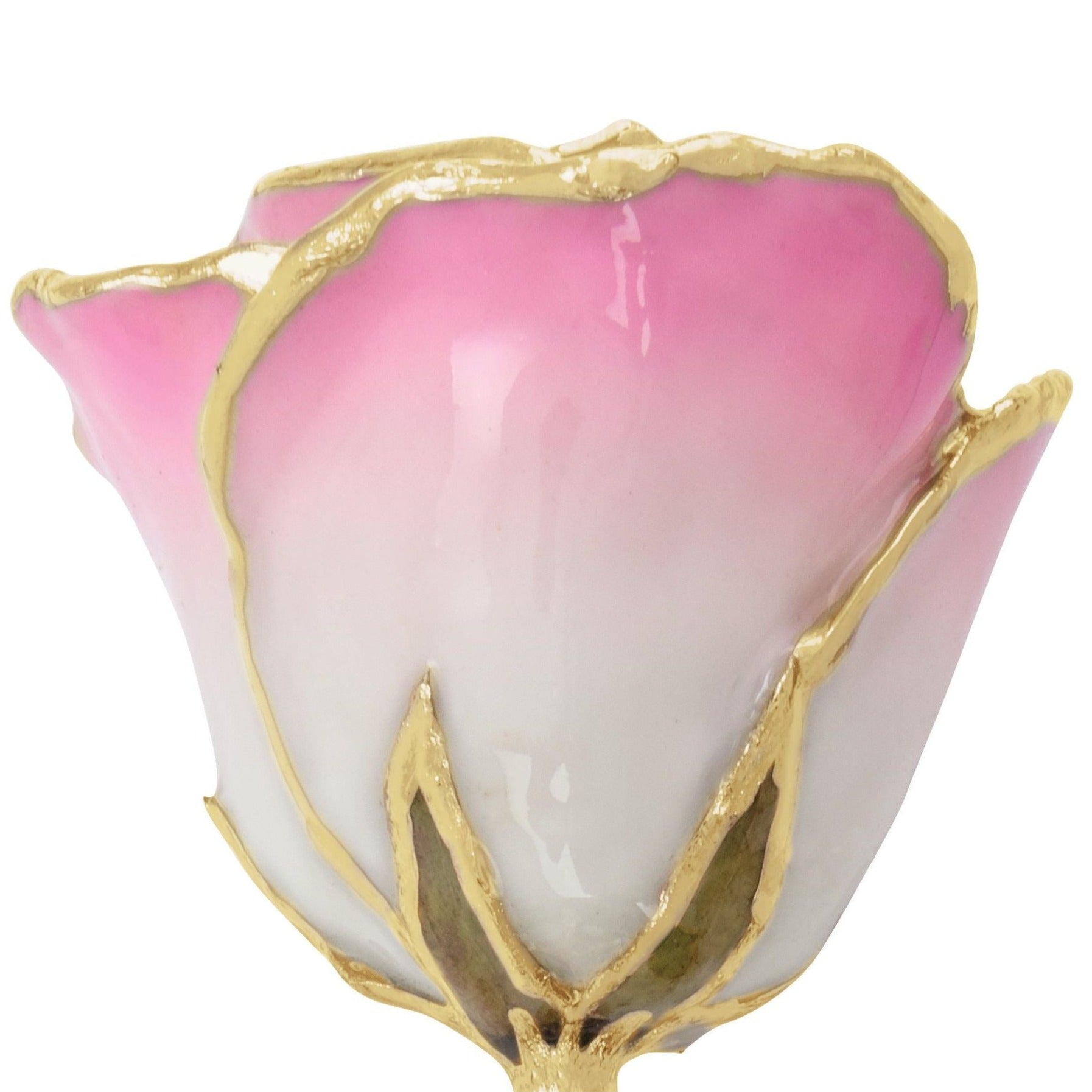 Preserved Cream Pink Rose with 24K Gold Trim for Luxury Home Decor