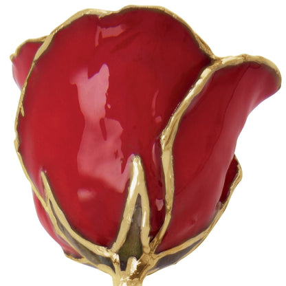 Preserved Red Rose with 24K Gold Trim for Luxury Home Decor
