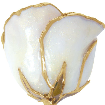 Preserved Sparkle White Diamond Colored Rose with 24K Gold Trim for Luxury Home Decor