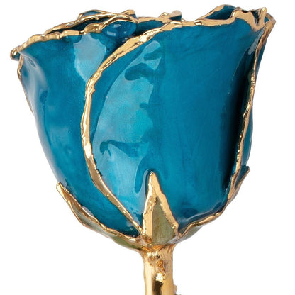 Preserved Blue Zircon Colored Rose with 24K Gold Trim for Luxury Home Decor