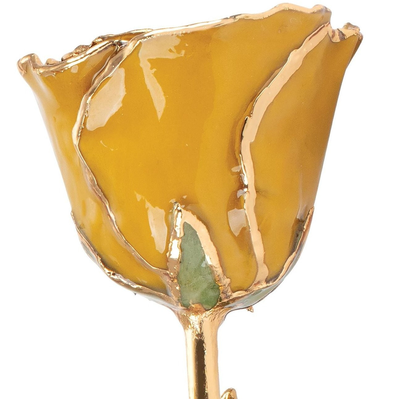 Preserved Yellow Topaz Colored Rose with 24K Gold Trim for Luxury Home Decor