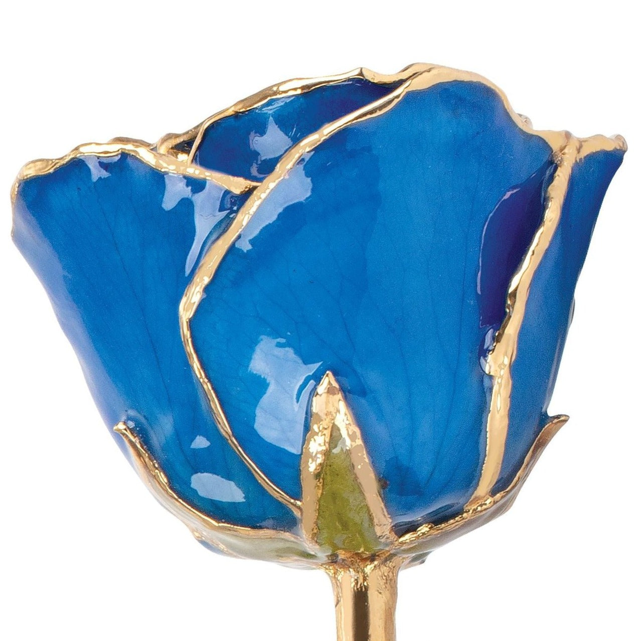 Preserved Blue Sapphire Colored Rose with 24K Gold Trim for Luxury Home Decor