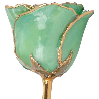Preserved Peridot Colored Rose with 24K Gold Trim for Luxury Home Decor