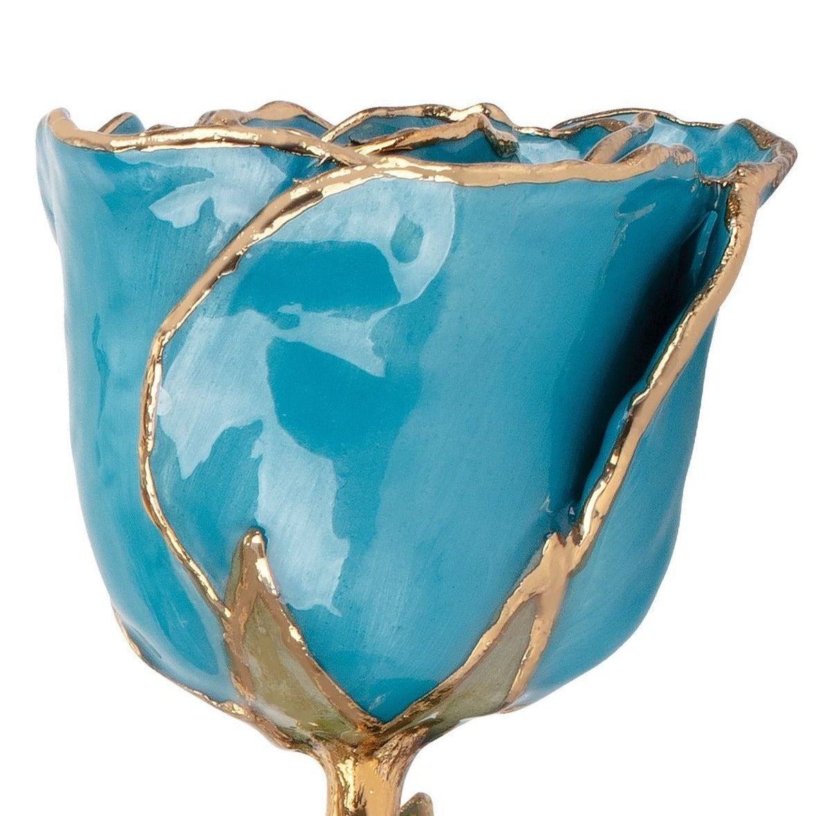 Preserved Aquamarine Colored Rose with 24K Gold Trim for Luxury Home Decor