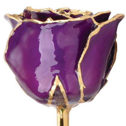 Preserved Purple Rose with 24K Gold Trim for Luxury Home Decor