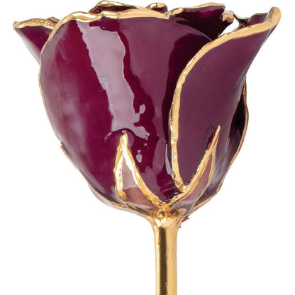 Preserved Burgundy Rose with 24K Gold Trim for Luxury Home Decor